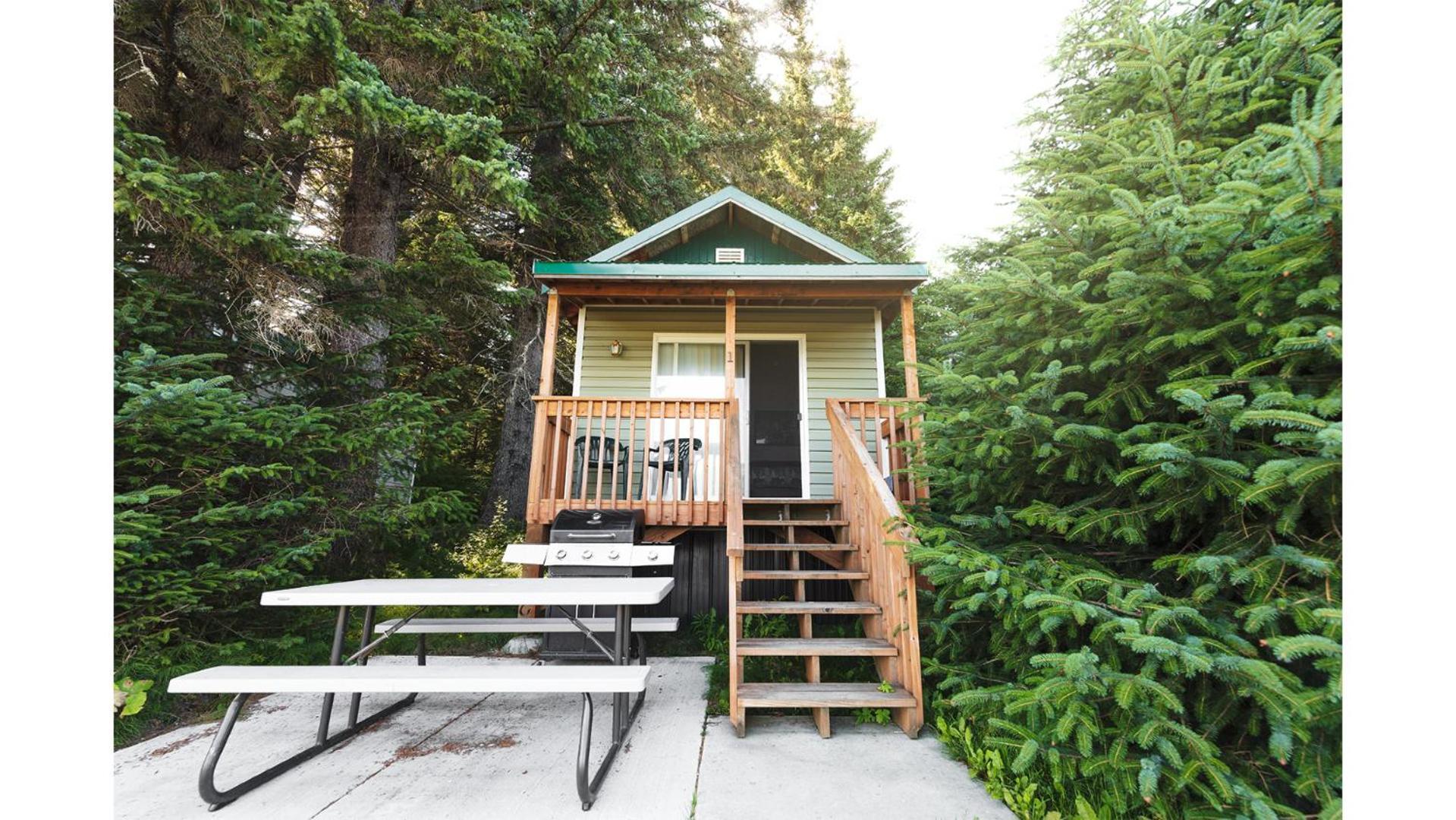 Cabin 1 Lynn View Lodge Haines Buitenkant foto